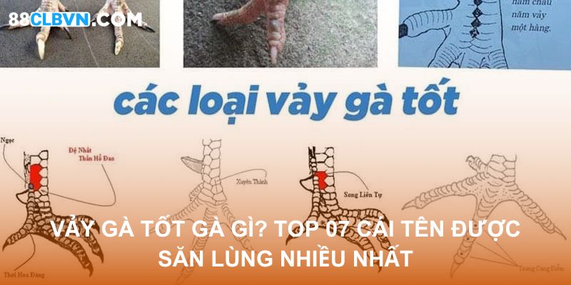 vay ga tot 88clb